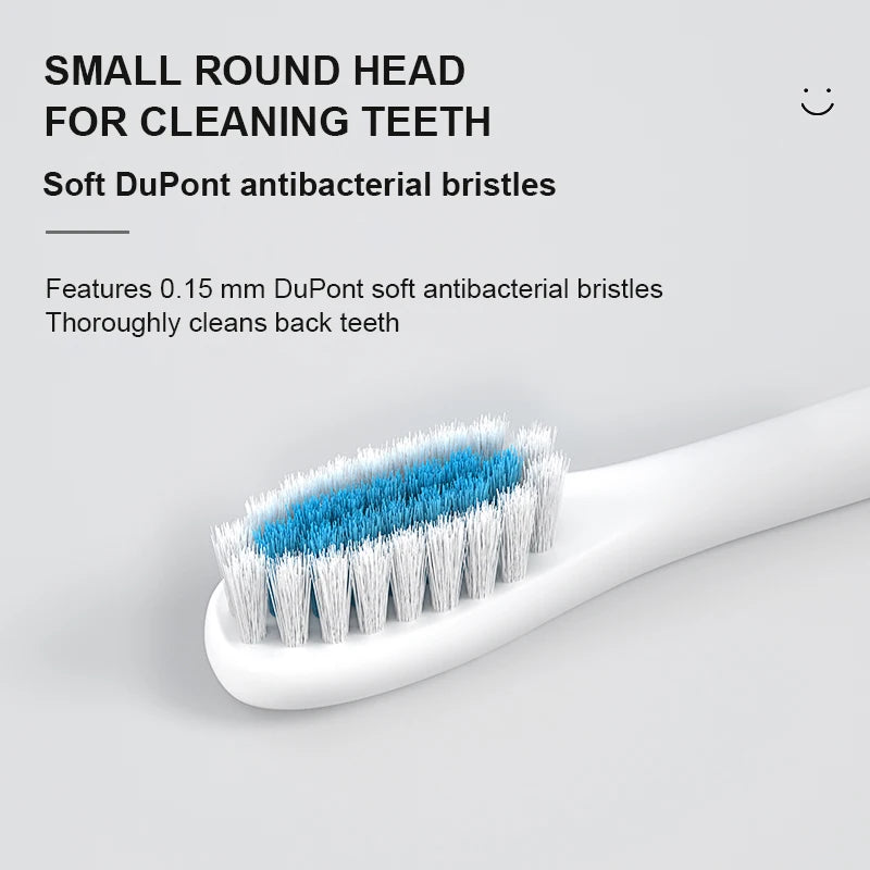 IPX7 Sonic Electric Toothbrush, Rechargeable (USB-C)